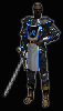Paladin